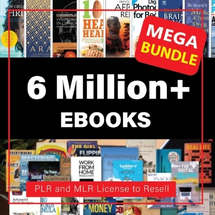 6 Million Ebooks PLR Bundle